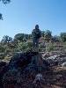 [thumbnail of Picture 8]