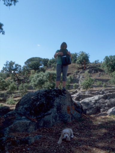 ImageImage1809.web.jpg