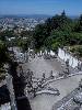 [thumbnail of Picture 15]