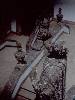 [thumbnail of Picture 18]