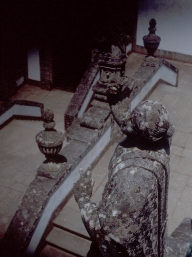 ImageImage1824.web.jpg