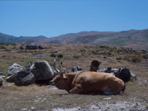 ImageImage1833.web.jpg
