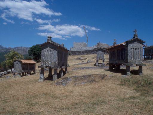 ImageImage1835.web.jpg