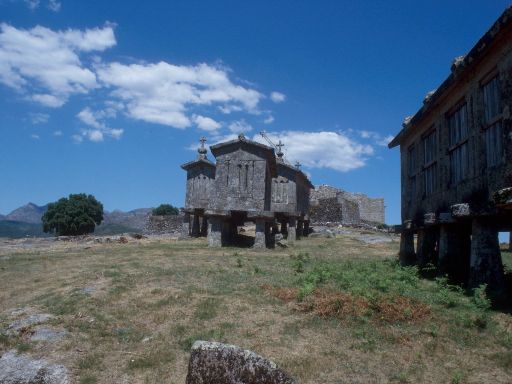 ImageImage1836.web.jpg