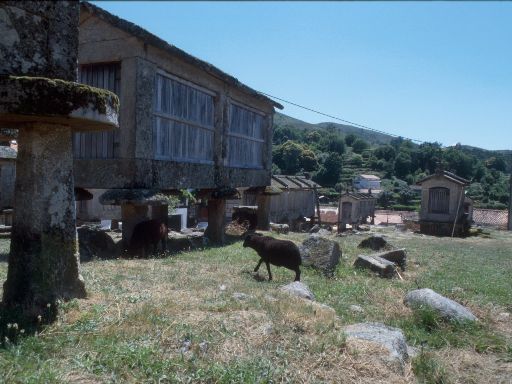 ImageImage1837.web.jpg