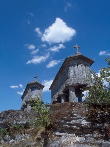 ImageImage1844.web.jpg