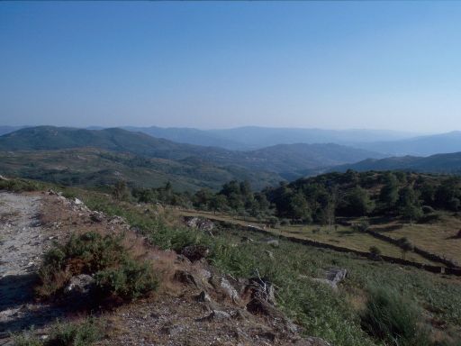 ImageImage1845.web.jpg