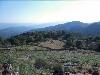[thumbnail of Picture 4]