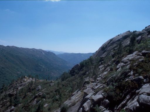 ImageImage1856.web.jpg