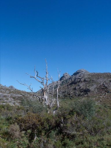ImageImage1857.web.jpg