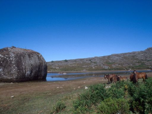 ImageImage1860.web.jpg