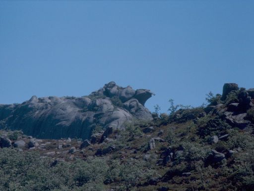 ImageImage1864.web.jpg