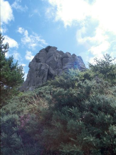 ImageImage1893.web.jpg