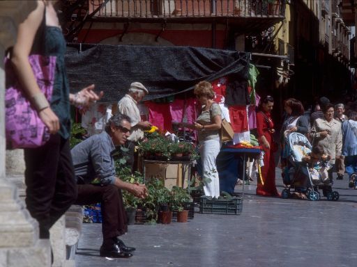 ImageImage1898.web.jpg
