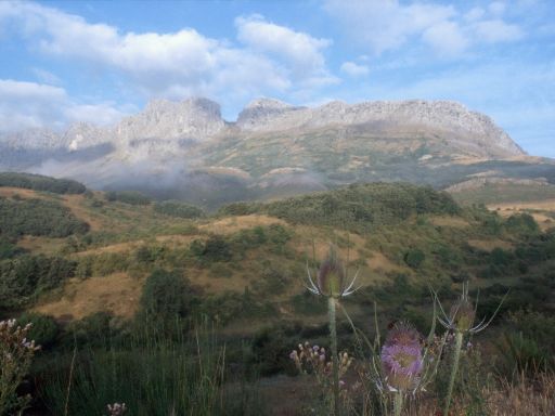 ImageImage1902.web.jpg