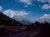 [thumbnail of Picture 13]