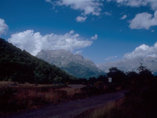 ImageImage1904.web.jpg