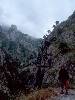[thumbnail of Picture 15]