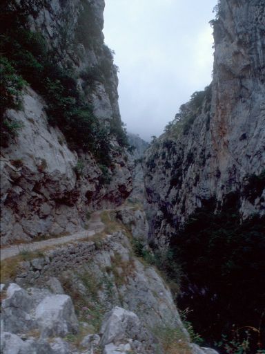 ImageImage1907.web.jpg