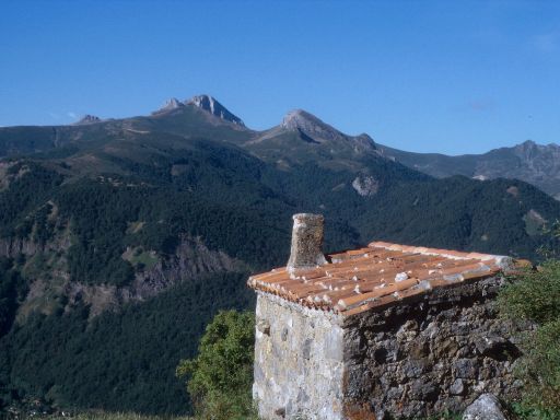 ImageImage1912.web.jpg