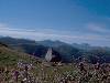 [thumbnail of Picture 22]