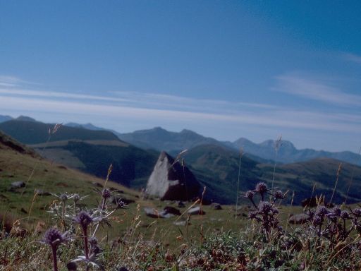 ImageImage1913.web.jpg