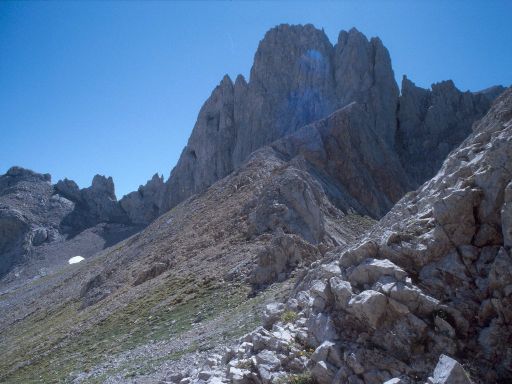 ImageImage1919.web.jpg