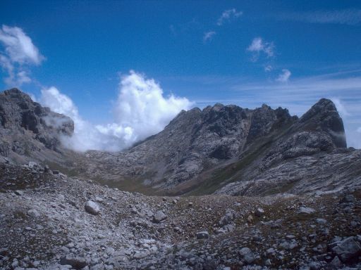 ImageImage1923.web.jpg
