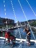 [thumbnail of Picture 32]