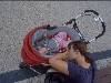 [thumbnail of Picture 16]