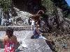 [thumbnail of Picture 22]