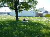 [thumbnail of Picture 4]