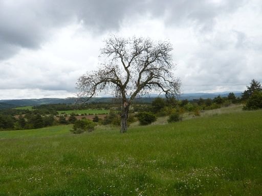 ImageImage308.web.jpg
