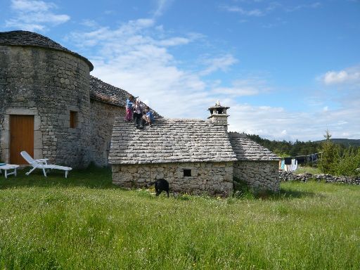 ImageImage322.web.jpg