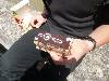 [thumbnail of Picture 42]