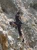 [thumbnail of Picture 48]