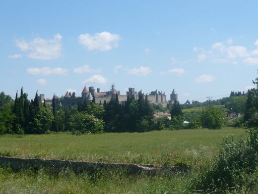 ImageImage375.web.jpg
