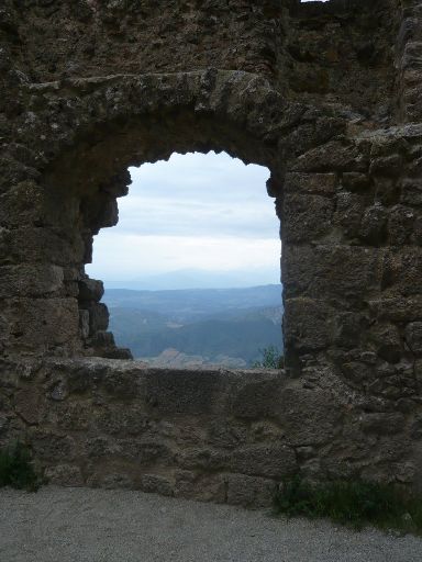ImageImage378.web.jpg