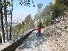 [thumbnail of Picture 102]