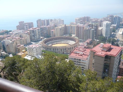 ImageImage491.web.jpg