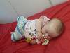 [thumbnail of Picture 107]