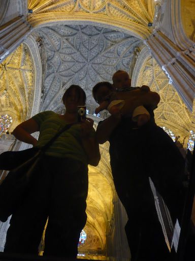 ImageImage536.web.jpg