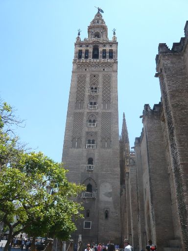 ImageImage543.web.jpg