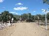 [thumbnail of Picture 38]