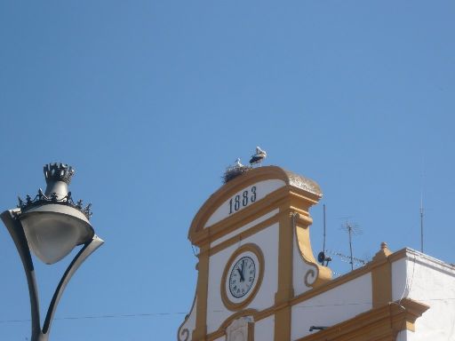ImageImage611.web.jpg