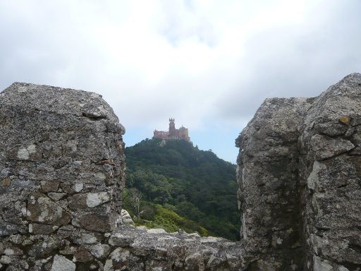 ImageImage651.web.jpg