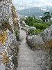 [thumbnail of Picture 63]