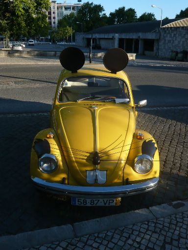ImageImage669.web.jpg