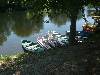 [thumbnail of Picture 87]