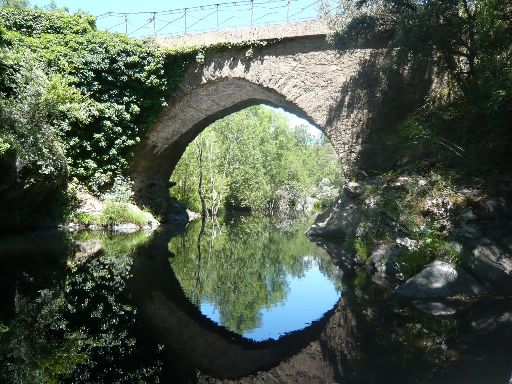 ImageImage727.web.jpg